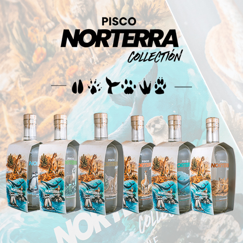 6 Pisco Norterra Collection 700cc 40°
