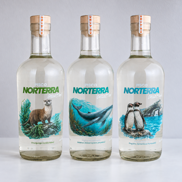 Pack Océano de Pisco Norterra Collection: tres botellas con diseños de chungungo, ballena y pingüino.